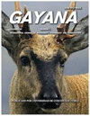 GAYANA