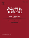 Seminars in Vascular Surgery期刊封面