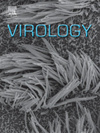 VIROLOGY期刊封面