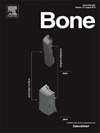 BONE期刊封面
