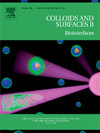 COLLOIDS AND SURFACES B-BIOINTERFACES期刊封面