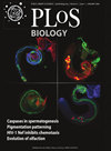 PLOS BIOLOGY期刊封面