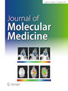 JOURNAL OF MOLECULAR MEDICINE-JMM期刊封面