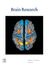 BRAIN RESEARCH期刊封面